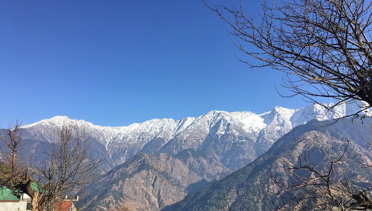Ess & Bee Resorts Dharamshala Exterior foto
