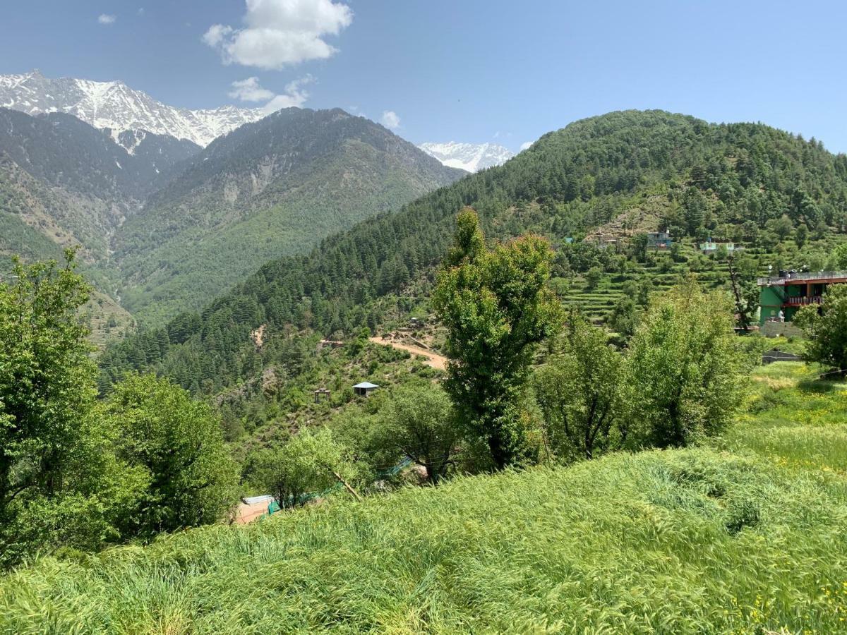 Ess & Bee Resorts Dharamshala Exterior foto